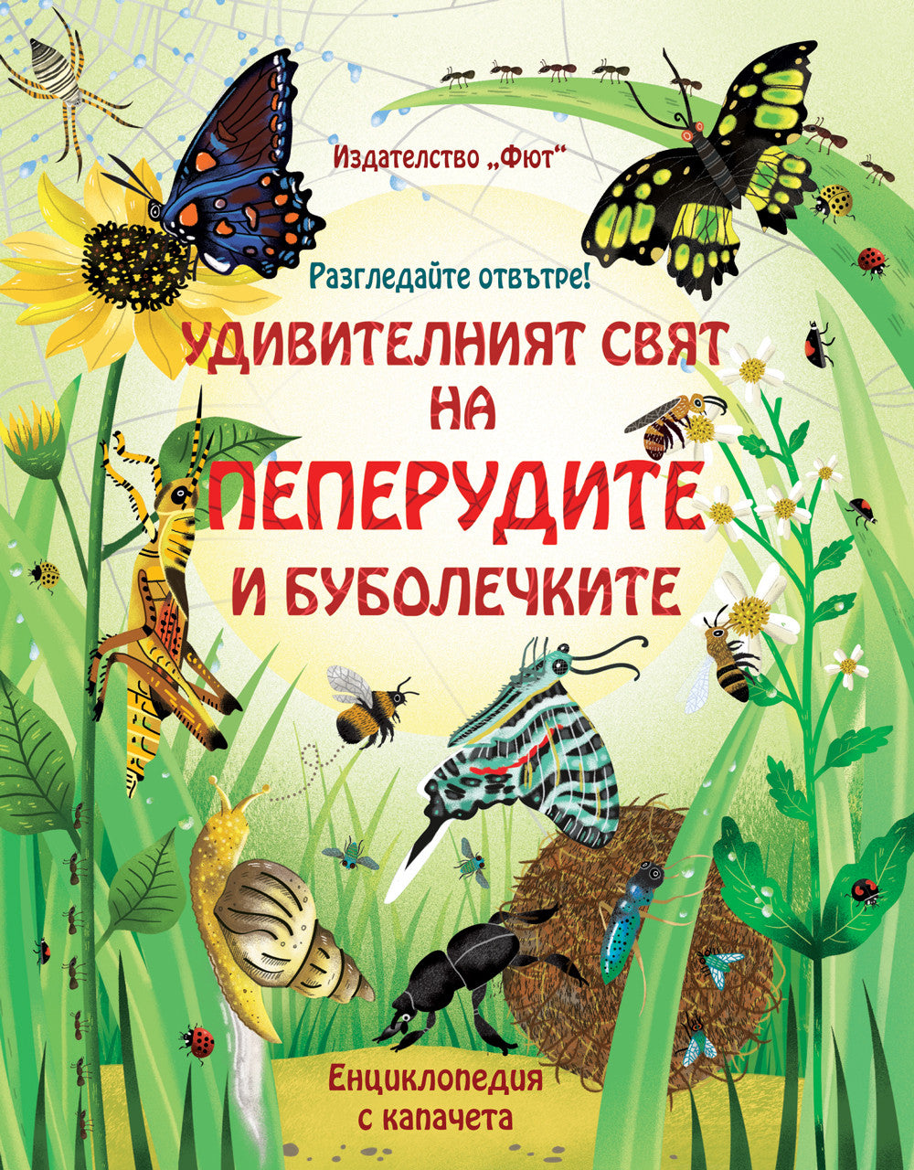 Удивителният свят на пеперудите и буболечките
